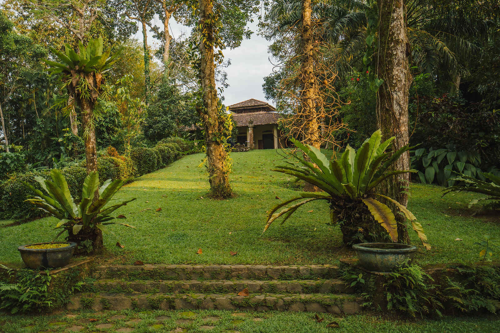 The garden lawn leading up to the plantation mansion at APA Villa Illuketia