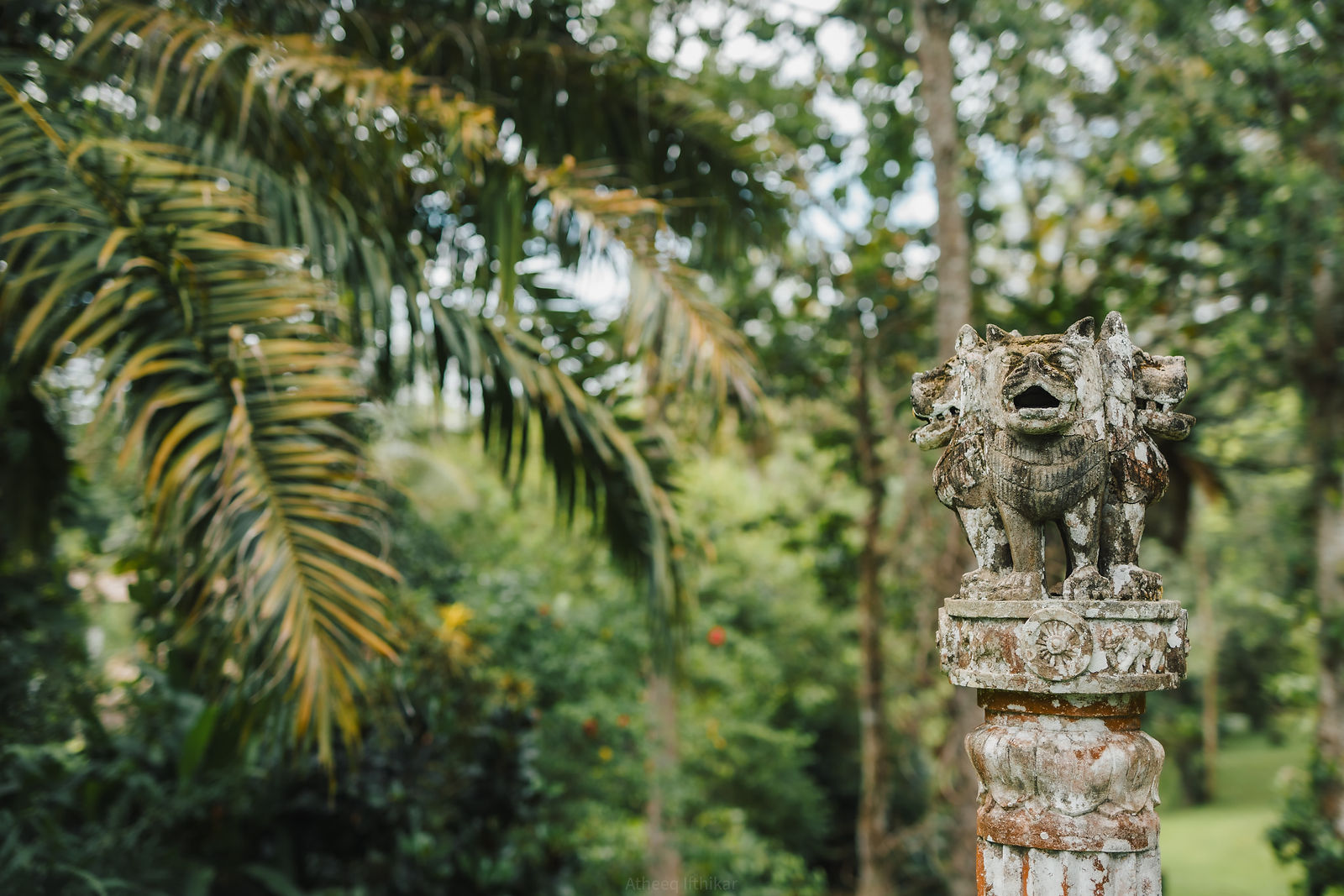 Carved stone lion statue in the garden