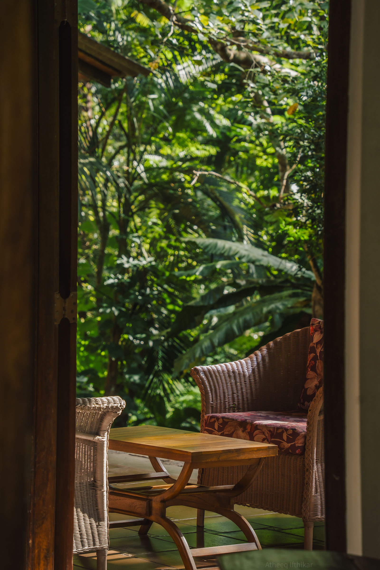 Veranda seating in the Pond House looking out to the jungle