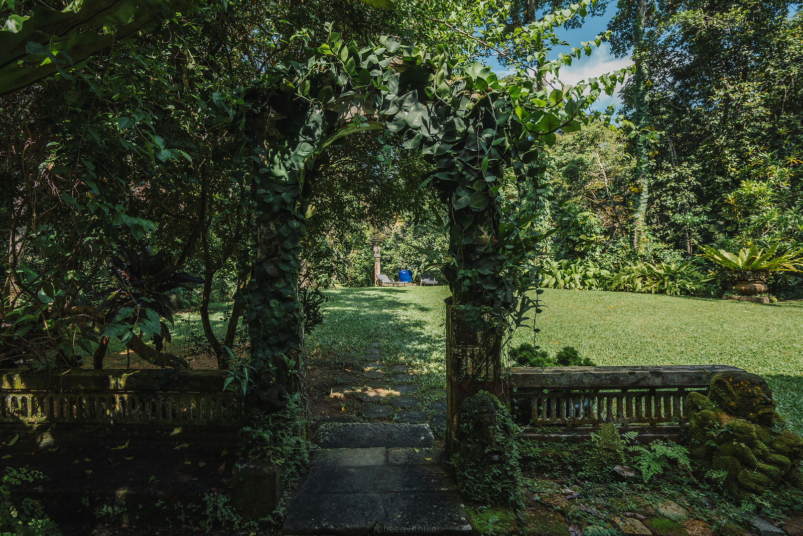 Vine-covered archway into the garden
