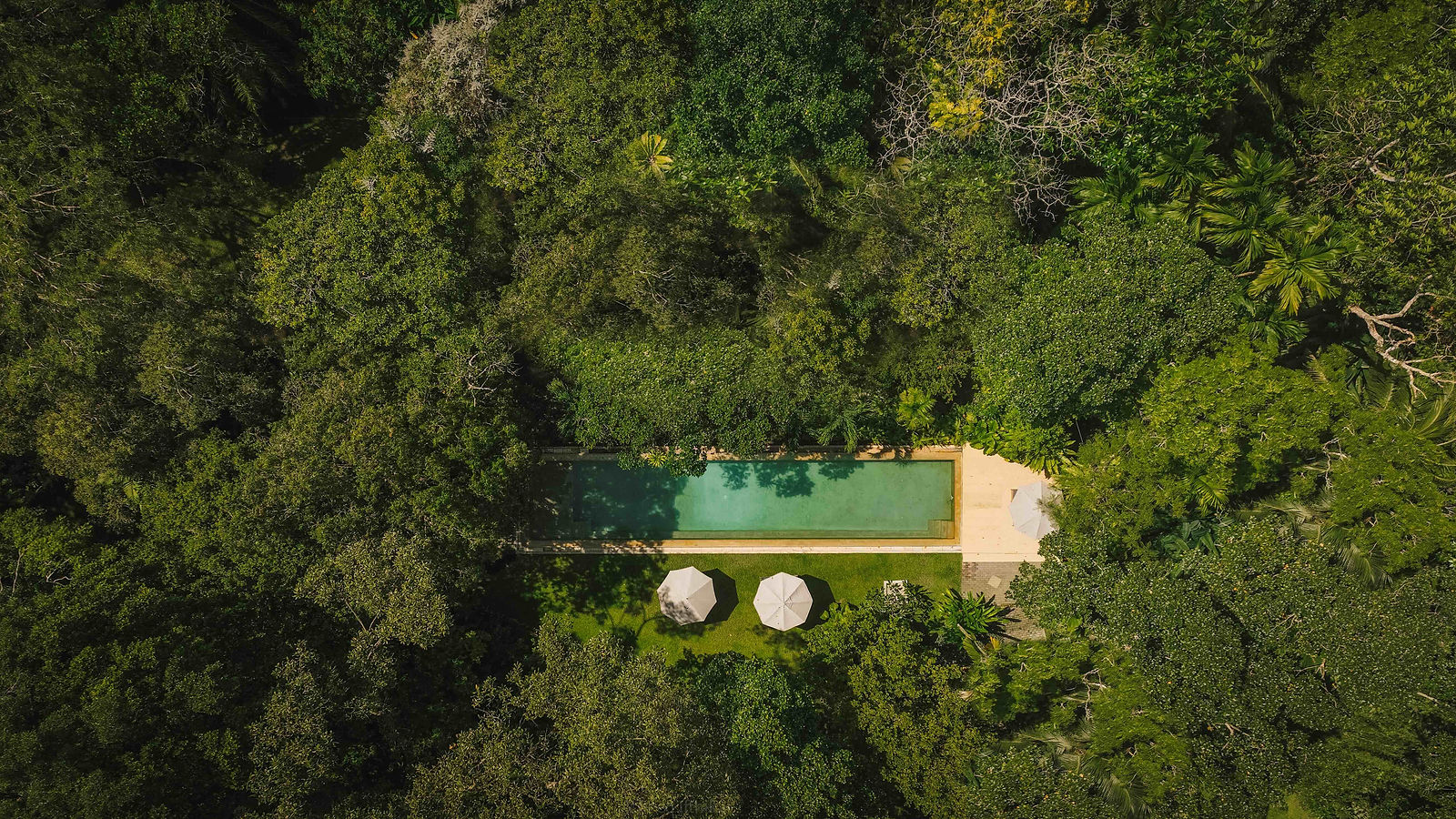 Aerial view of the pool in the jungle canopy