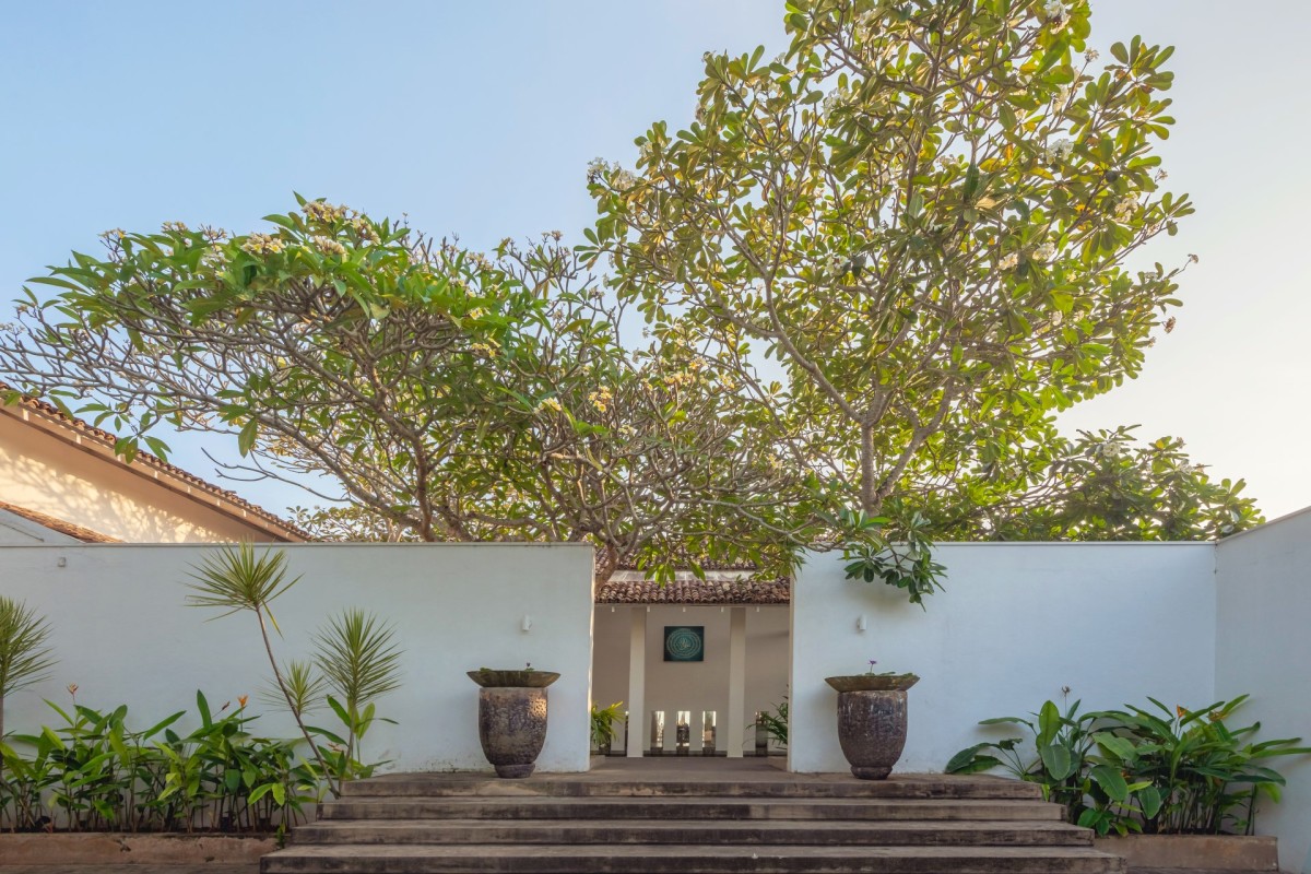 Stone entrance steps flanked by planters beneath a flowering frangipani tree