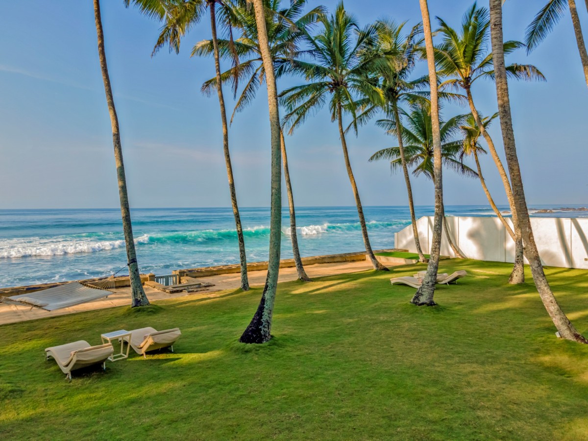 Sun loungers on the green lawn beneath tall palms above the breaking surf