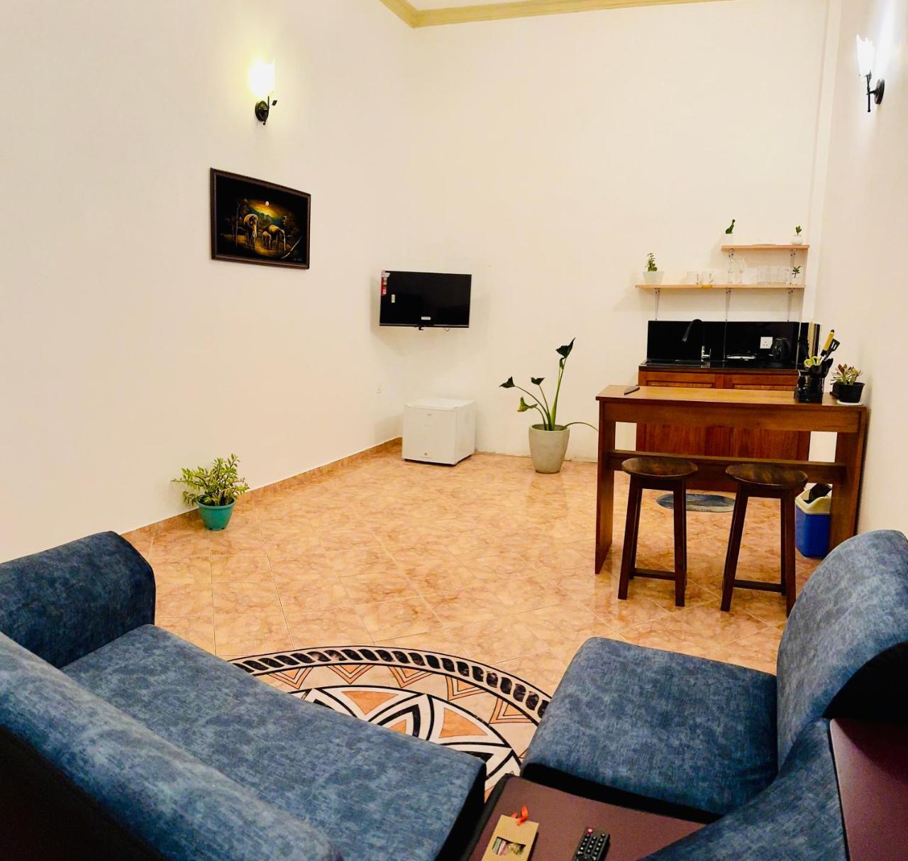 Living and dining area with blue sofas, TV and kitchenette counter