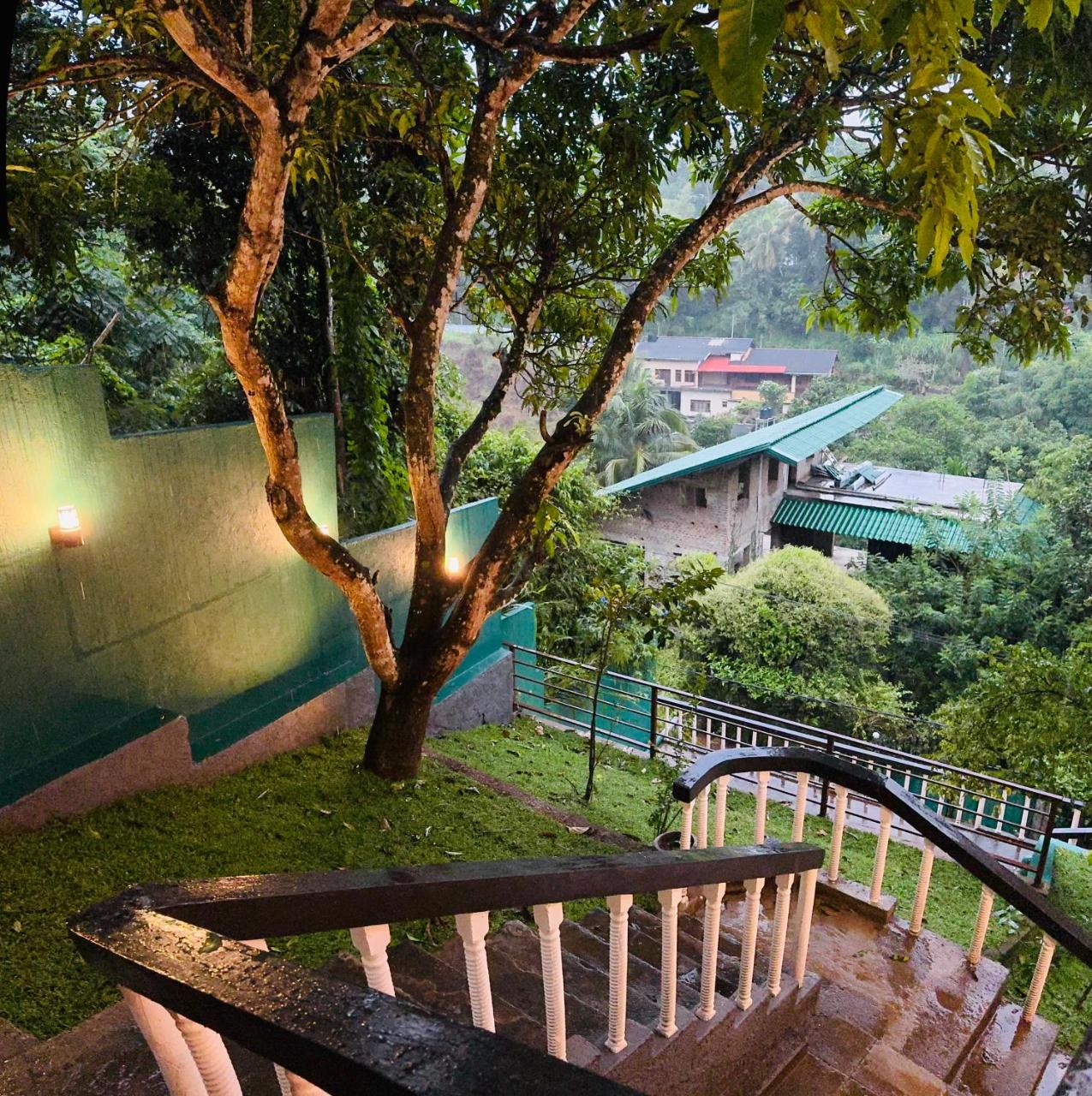 Garden stairs among mature trees