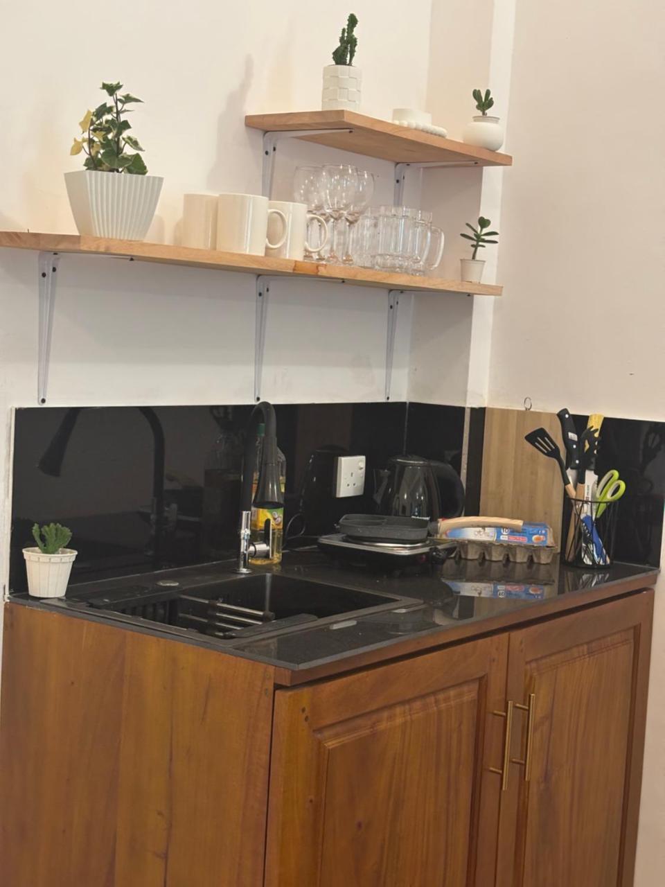Kitchenette with sink, cooktop, kettle and open shelving