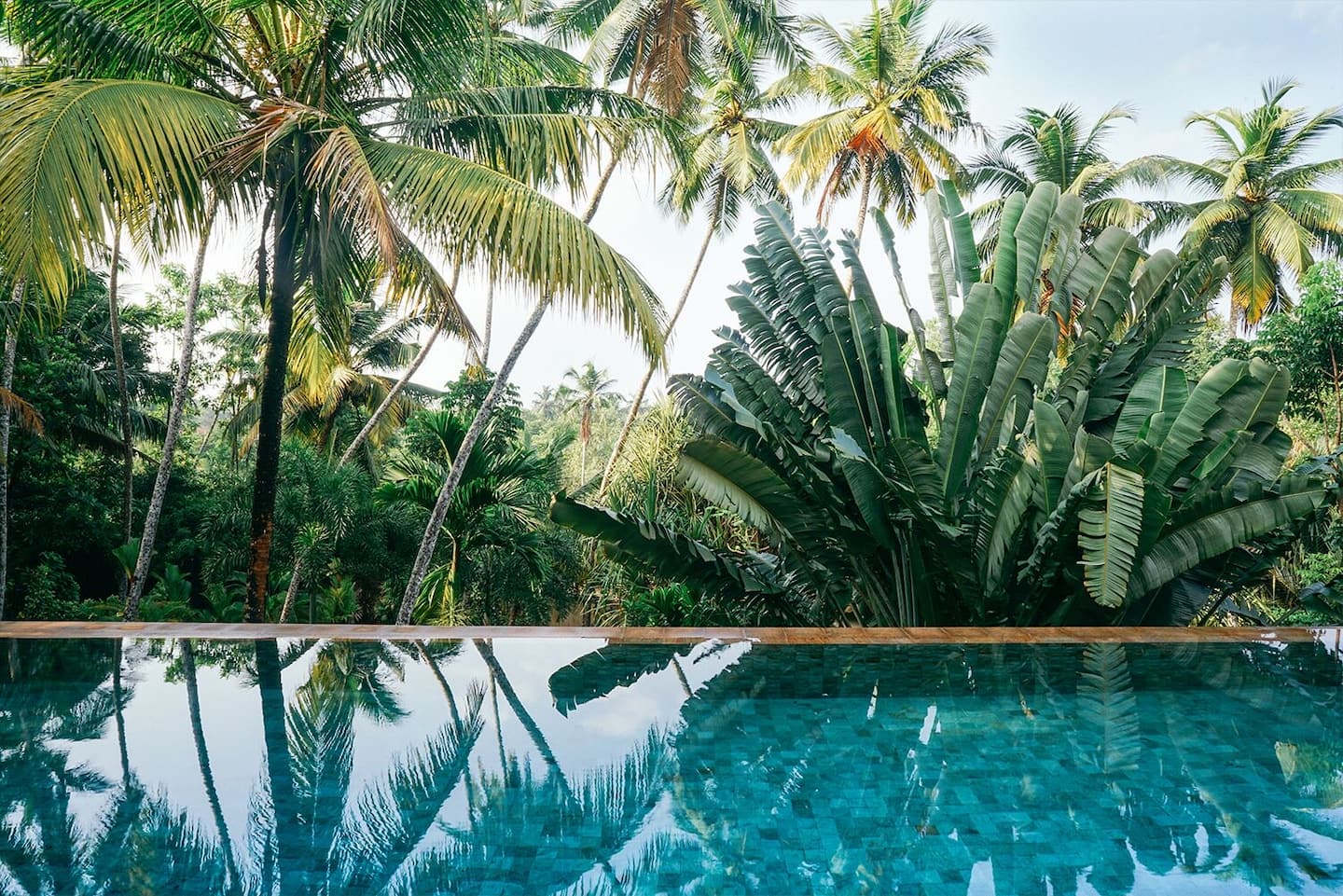 The saltwater infinity pool at Kumara Luxury Villa mirroring the surrounding palms
