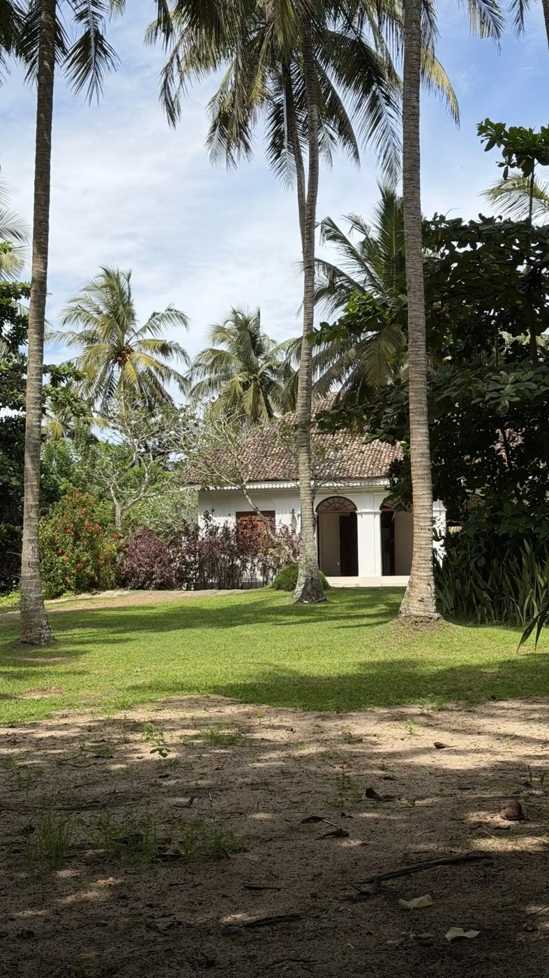 The white colonial facade of Lime House seen through coconut palms