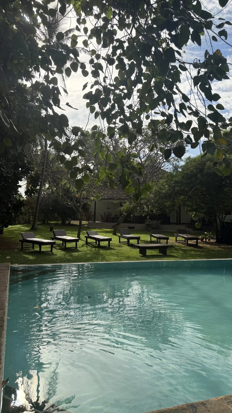 The pool at Lime House looking across to the garden and day beds