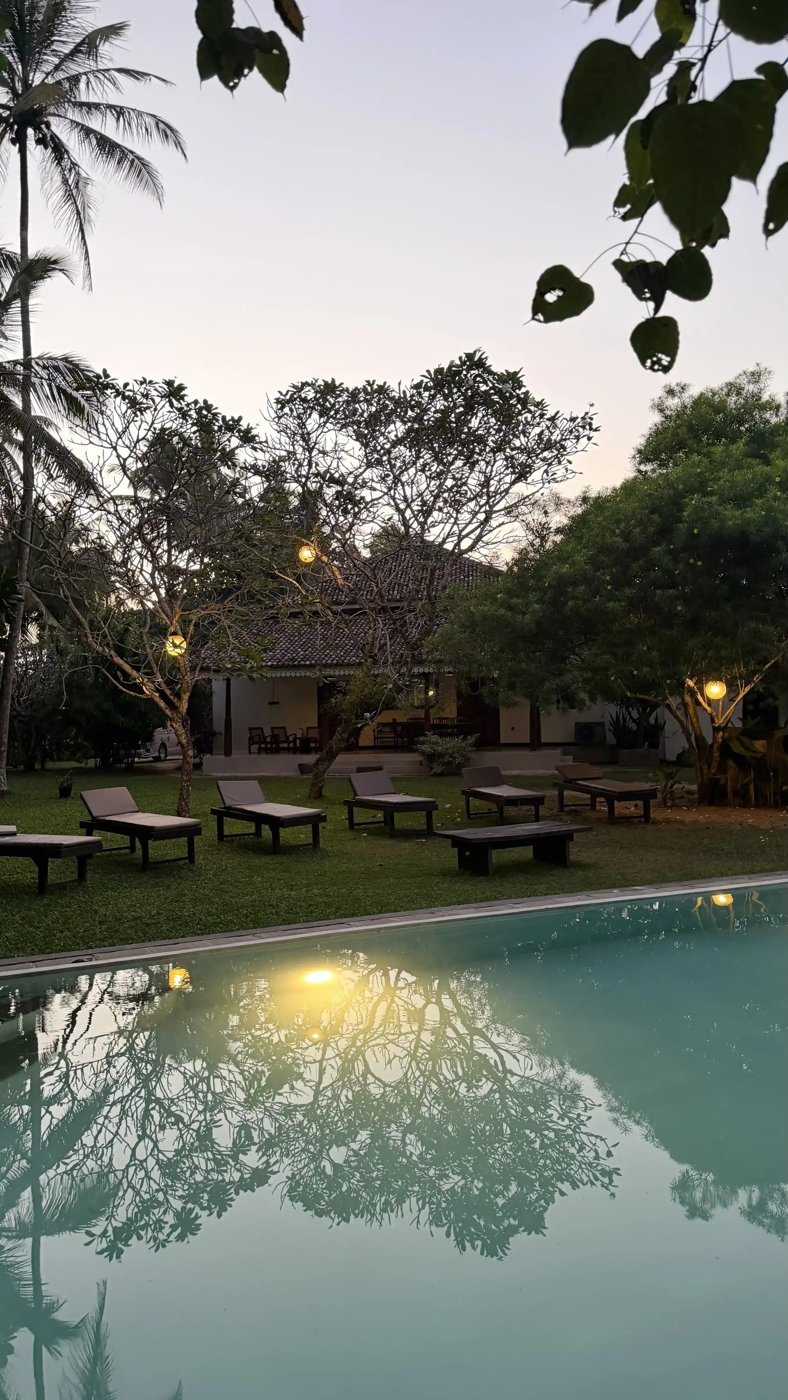 The pool and gardens of Lime House glowing at dusk
