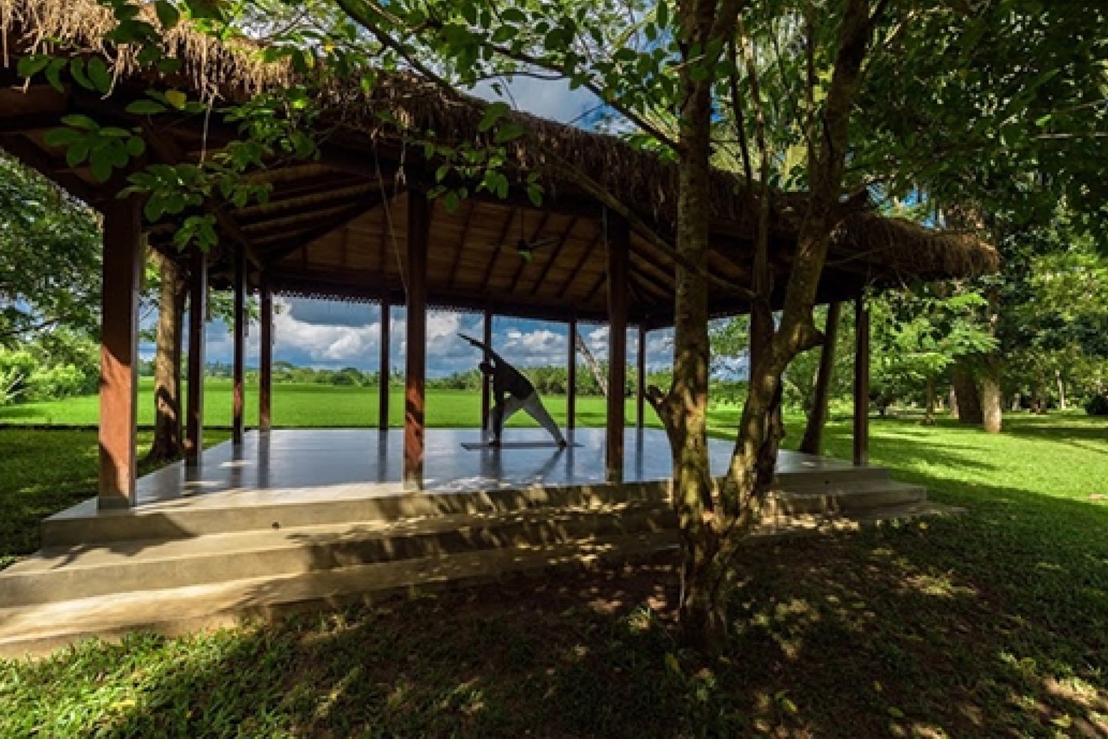 Thatched yoga pavilion overlooking the paddy fields