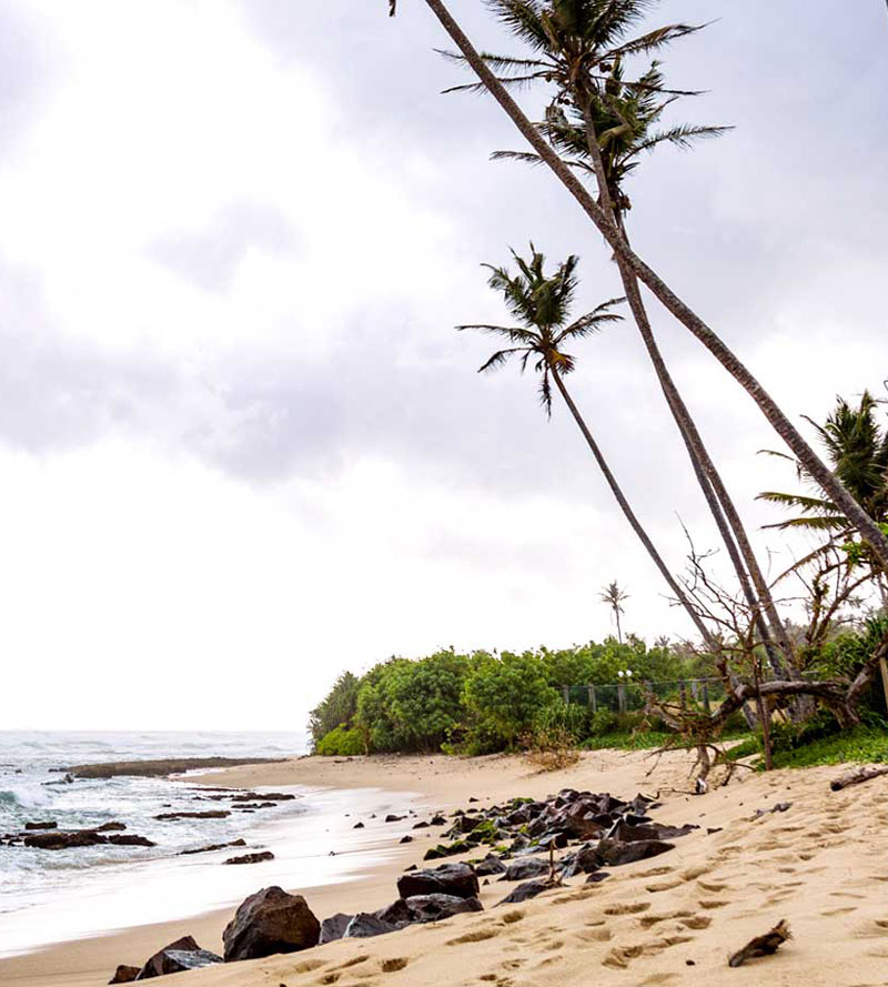 The secluded beach below Mirissa Beach Villa with palms leaning over the sand