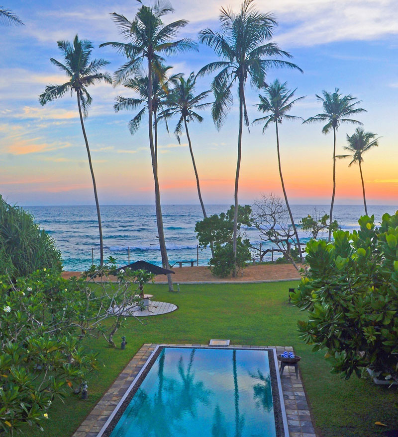 The saltwater pool at Mirissa Beach Villa beneath coconut palms at sunset, with the ocean beyond
