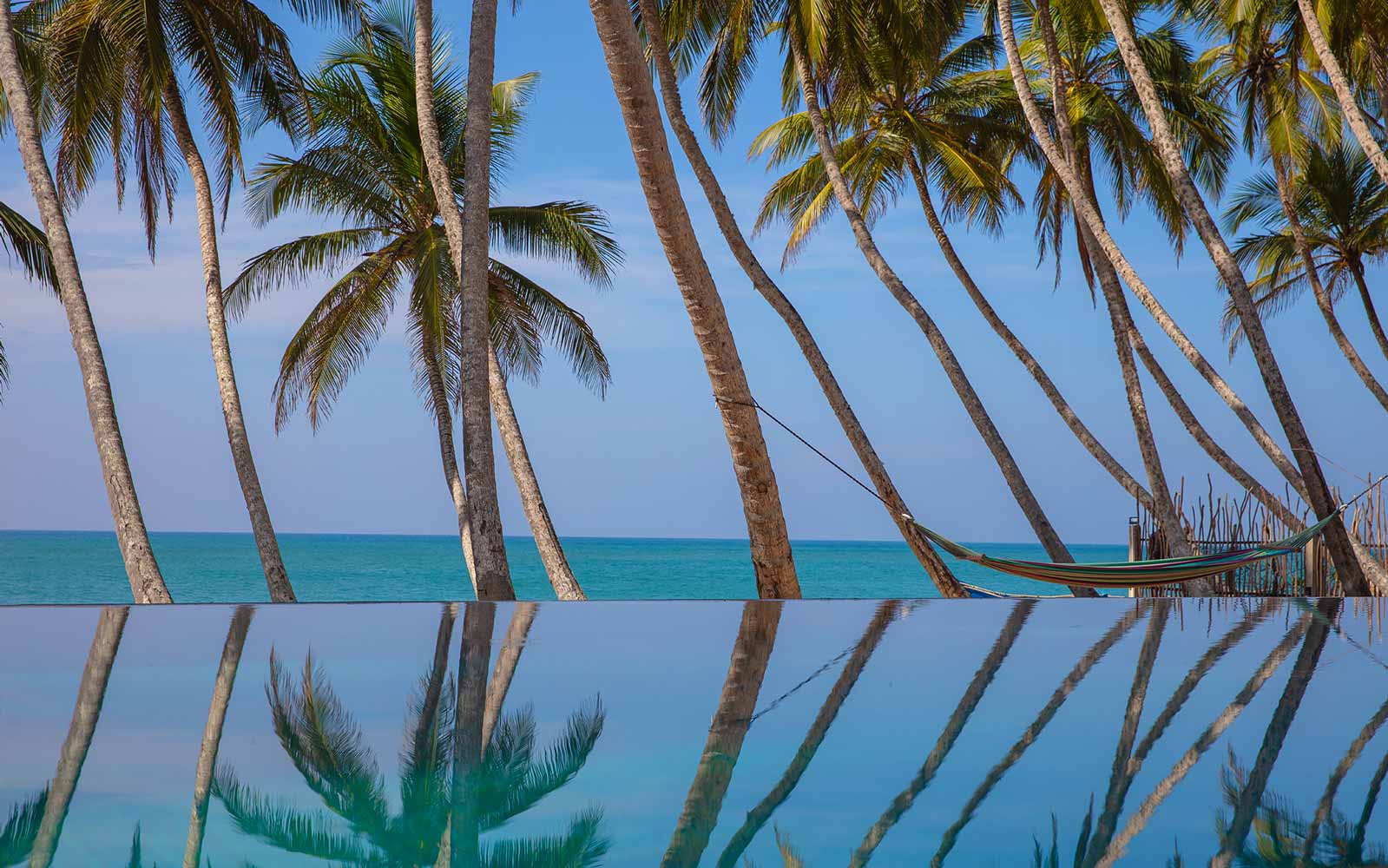 Infinity pool edge reflecting coconut palms, with the ocean beyond