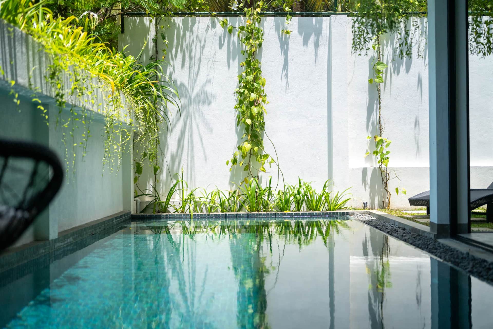 Private pool at Sudu Villa beside a white wall with hanging greenery