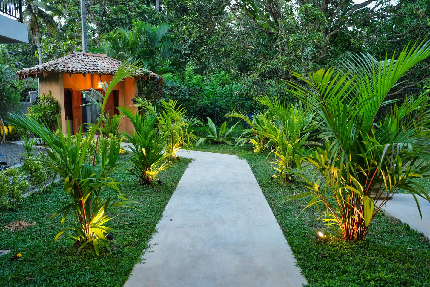 Tropical garden path at Summer Secret
