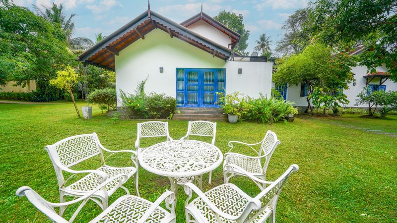 Chairs set out on the lawn