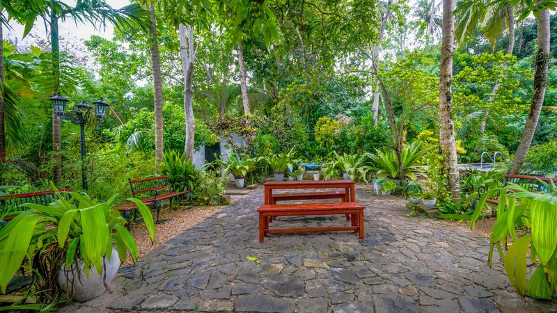 Patio in the garden