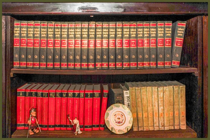 Bookcase with the villa's book collection